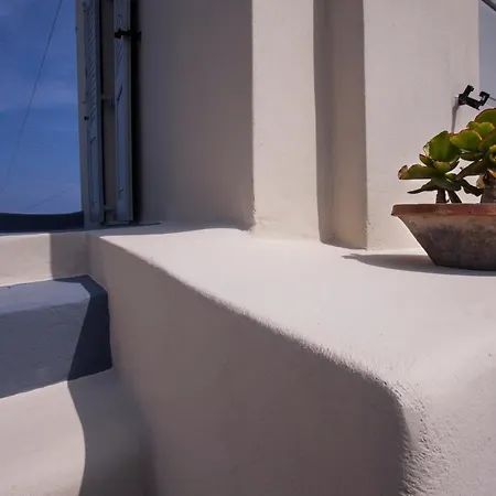 Cupola *